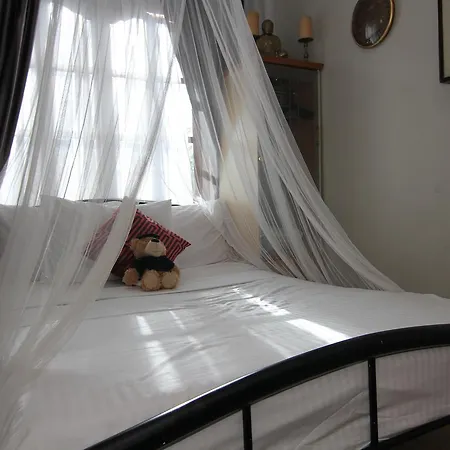 The Wilsons' Shangrila-3